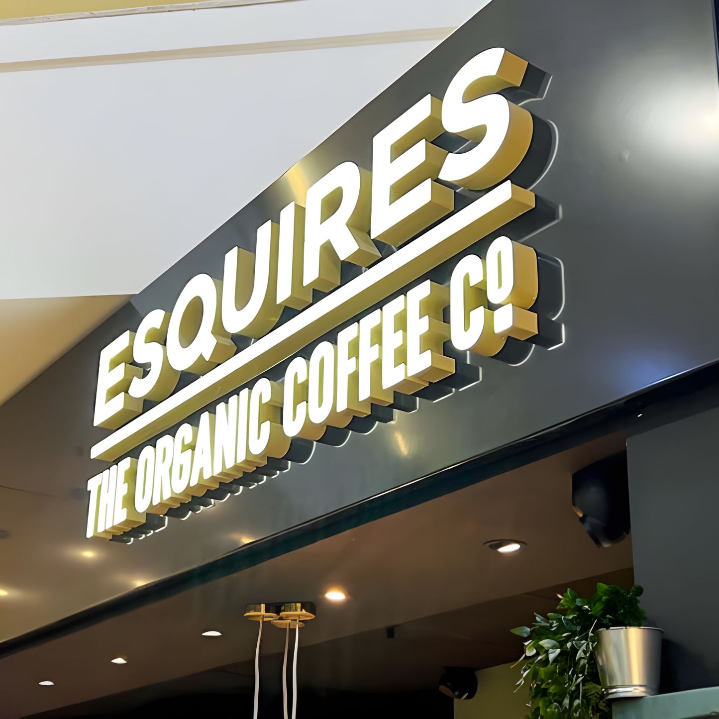 Custom 3D Front-lit Signs for Shops, Salons, Offices, and Storefronts